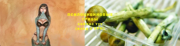 соль ск Володарск