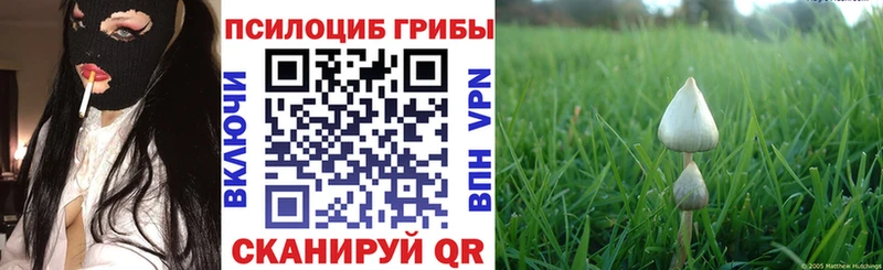 даркнет сайт  Назарово  Псилоцибиновые грибы Cubensis 